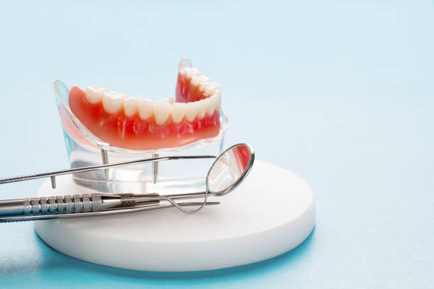 Best Sedation Dentistry  in Elfers, FL